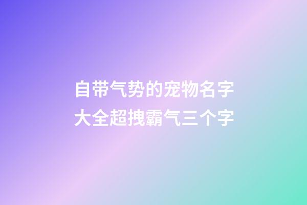 自带气势的宠物名字大全超拽霸气三个字