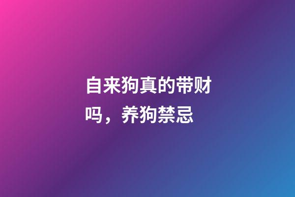 自来狗真的带财吗，养狗禁忌