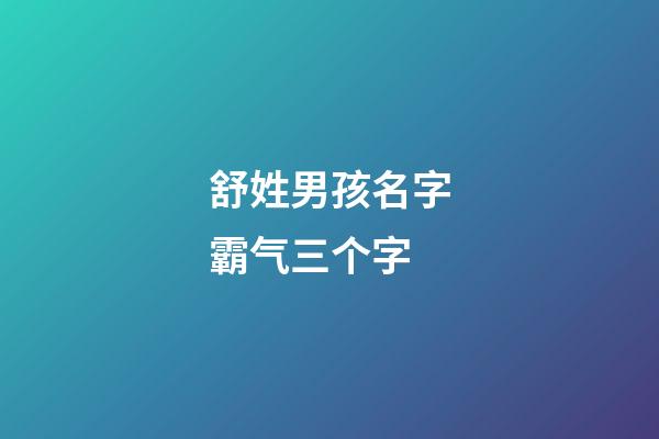 舒姓男孩名字霸气三个字