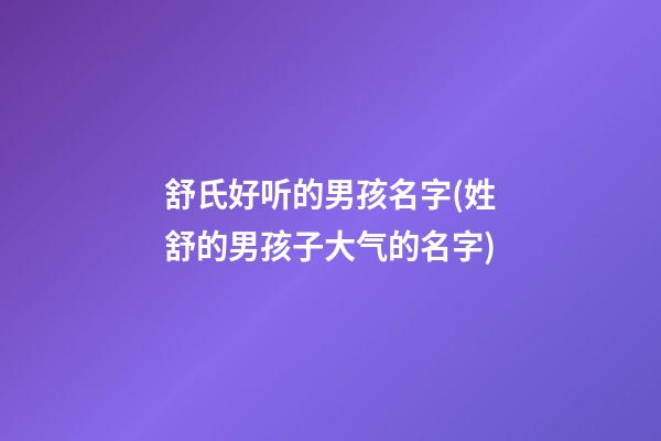 舒氏好听的男孩名字(姓舒的男孩子大气的名字)