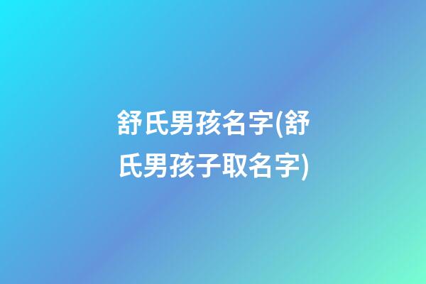 舒氏男孩名字(舒氏男孩子取名字)