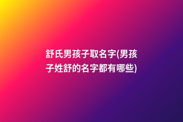 舒氏男孩子取名字(男孩子姓舒的名字都有哪些)