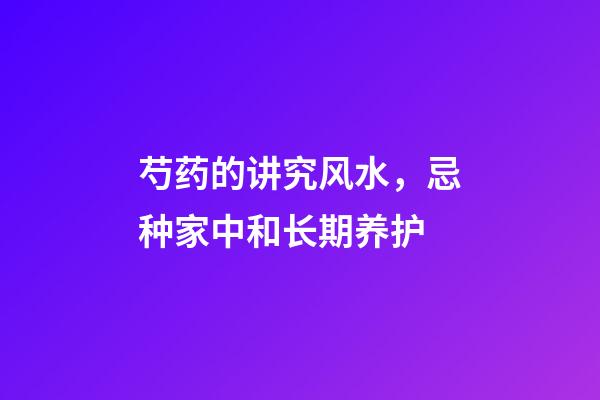 芍药的讲究风水，忌种家中和长期养护