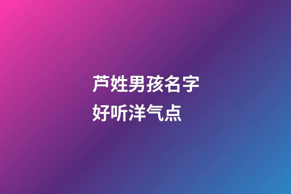 芦姓男孩名字好听洋气点