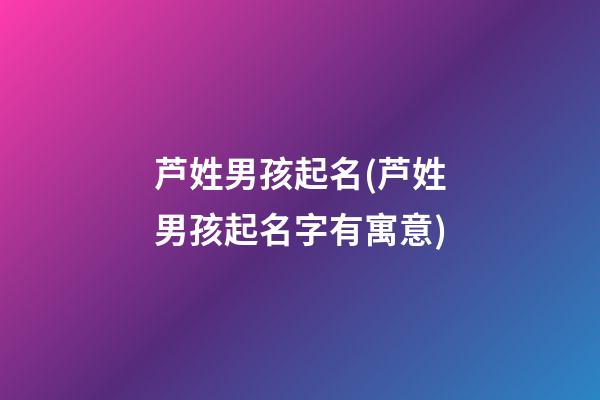 芦姓男孩起名(芦姓男孩起名字有寓意)