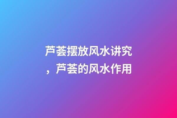 芦荟摆放风水讲究，芦荟的风水作用