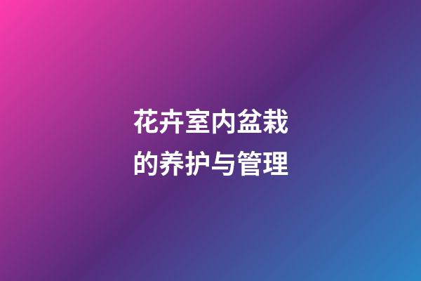 花卉室内盆栽的养护与管理