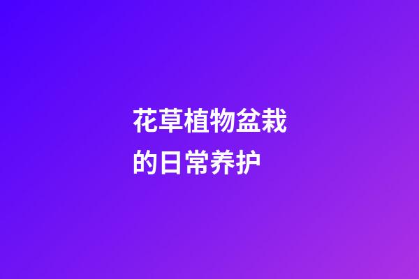 花草植物盆栽的日常养护