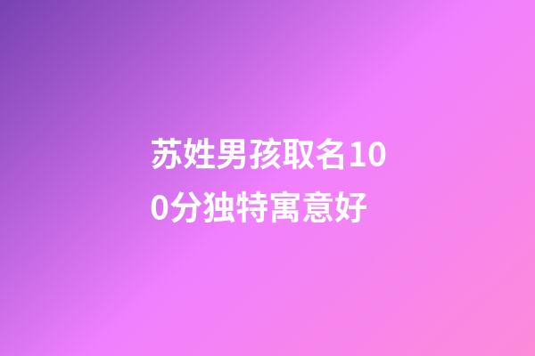 苏姓男孩取名100分独特寓意好