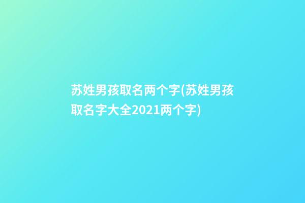 苏姓男孩取名两个字(苏姓男孩取名字大全2021两个字)
