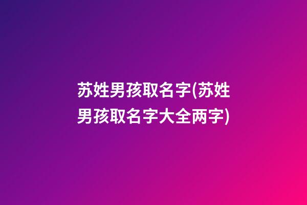苏姓男孩取名字(苏姓男孩取名字大全两字)