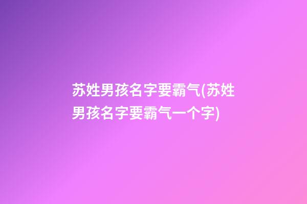 苏姓男孩名字要霸气(苏姓男孩名字要霸气一个字)