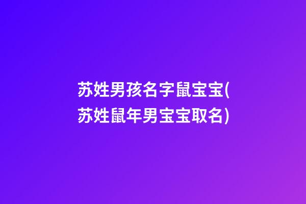 苏姓男孩名字鼠宝宝(苏姓鼠年男宝宝取名)