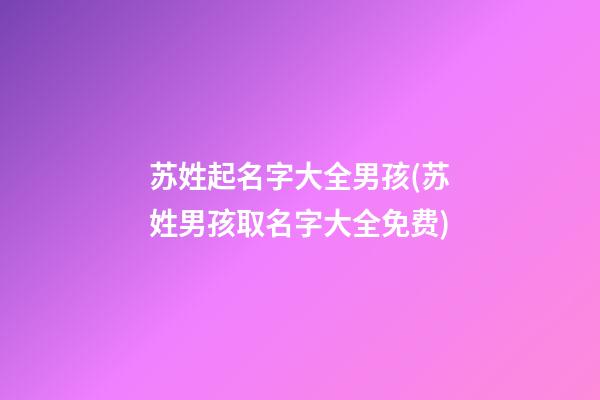 苏姓起名字大全男孩(苏姓男孩取名字大全免费)
