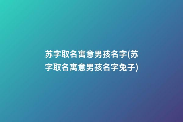 苏字取名寓意男孩名字(苏字取名寓意男孩名字兔子)
