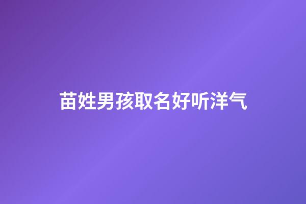 苗姓男孩取名好听洋气