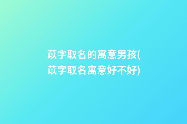 苡字取名的寓意男孩(苡字取名寓意好不好)