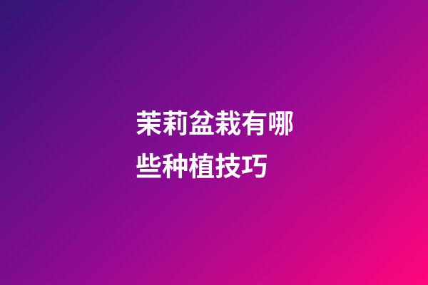 茉莉盆栽有哪些种植技巧