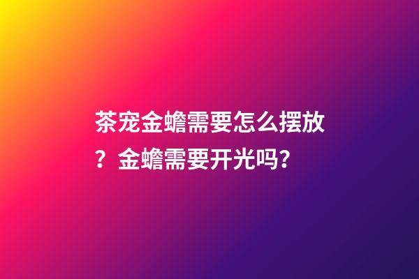 茶宠金蟾需要怎么摆放？金蟾需要开光吗？