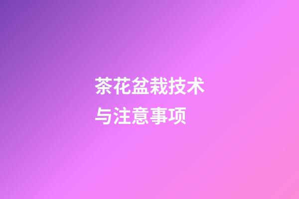 茶花盆栽技术与注意事项