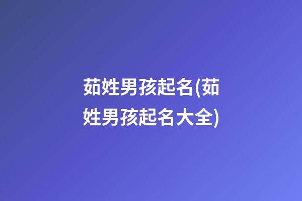 茹姓男孩起名(茹姓男孩起名大全)