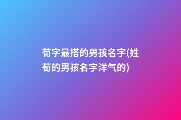 荀字最搭的男孩名字(姓荀的男孩名字洋气的)