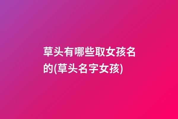 草头有哪些取女孩名的(草头名字女孩)