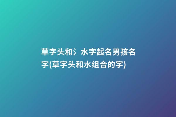 草字头和氵水字起名男孩名字(草字头和水组合的字)
