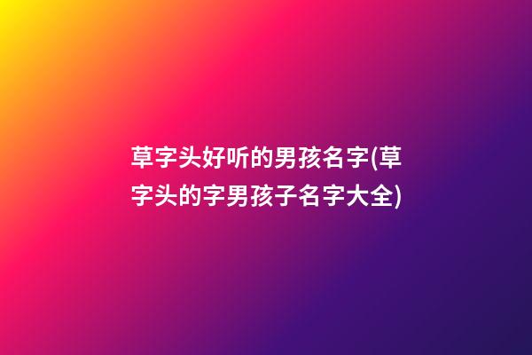 草字头好听的男孩名字(草字头的字男孩子名字大全)