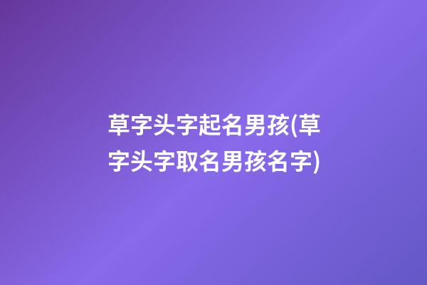草字头字起名男孩(草字头字取名男孩名字)