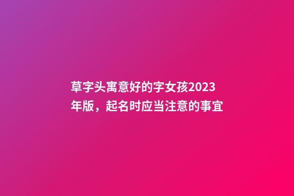 草字头寓意好的字女孩2023年版，起名时应当注意的事宜