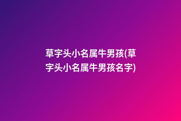 草字头小名属牛男孩(草字头小名属牛男孩名字)