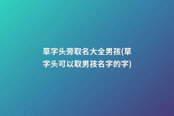 草字头旁取名大全男孩(草字头可以取男孩名字的字)