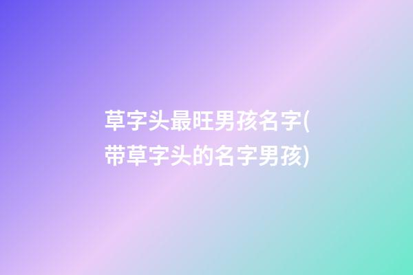 草字头最旺男孩名字(带草字头的名字男孩)