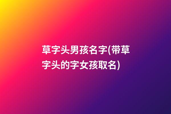 草字头男孩名字(带草字头的字女孩取名)