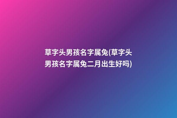 草字头男孩名字属兔(草字头男孩名字属兔二月出生好吗)