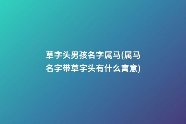 草字头男孩名字属马(属马名字带草字头有什么寓意)