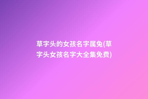 草字头的女孩名字属兔(草字头女孩名字大全集免费)