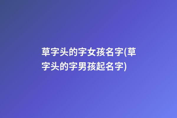 草字头的字女孩名字(草字头的字男孩起名字)