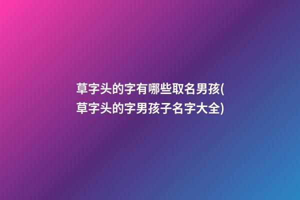 草字头的字有哪些取名男孩(草字头的字男孩子名字大全)