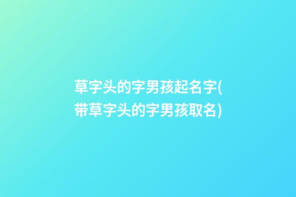 草字头的字男孩起名字(带草字头的字男孩取名)