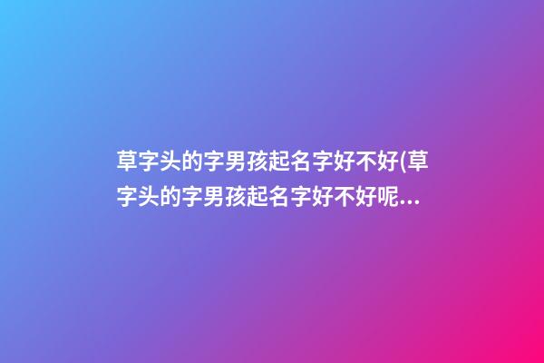 草字头的字男孩起名字好不好(草字头的字男孩起名字好不好呢)