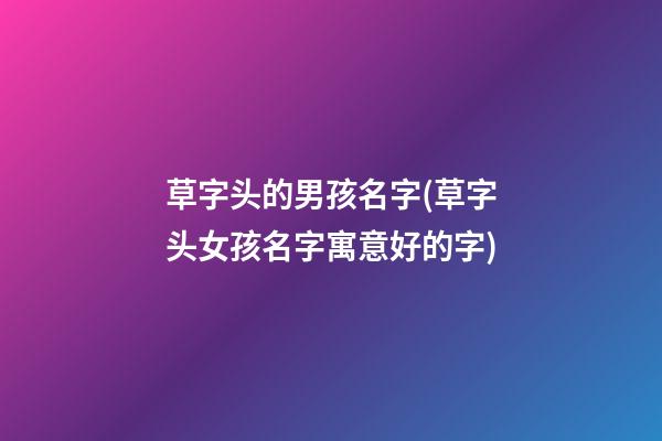 草字头的男孩名字(草字头女孩名字寓意好的字)