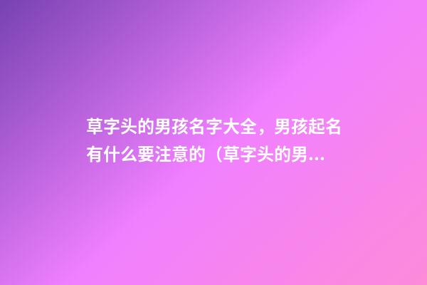 草字头的男孩名字大全，男孩起名有什么要注意的（草字头的男孩名字大全,男孩起名有什么要注意的吗）