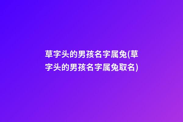 草字头的男孩名字属兔(草字头的男孩名字属兔取名)