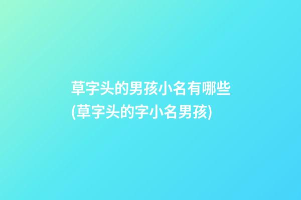 草字头的男孩小名有哪些(草字头的字小名男孩)