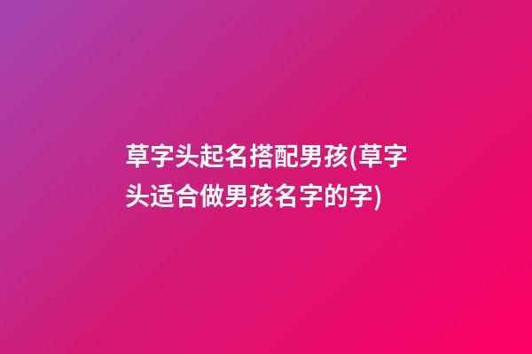 草字头起名搭配男孩(草字头适合做男孩名字的字)