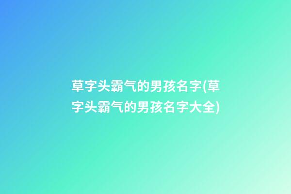 草字头霸气的男孩名字(草字头霸气的男孩名字大全)