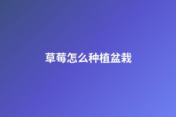 草莓怎么种植盆栽