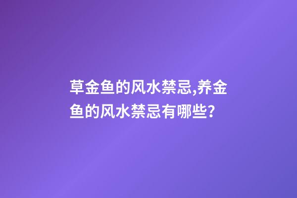 草金鱼的风水禁忌,养金鱼的风水禁忌有哪些？